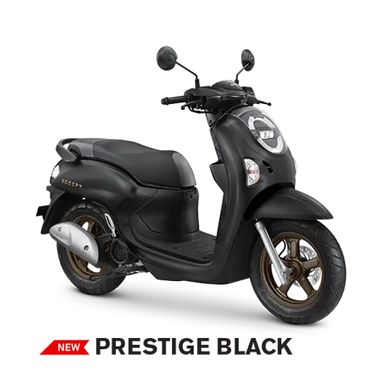 Scoopy - Varian Prestige Black