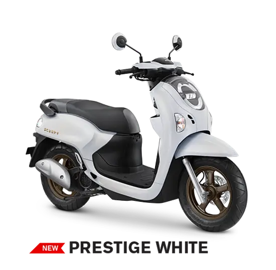 Scoopy - Varian Prestige White